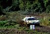 DSC02296_1.JPG