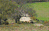 lafuente.jpg