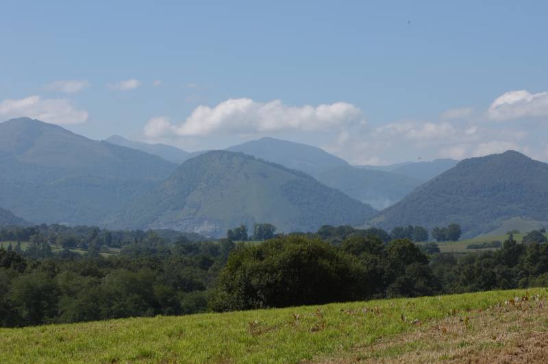DSC_0078.JPG